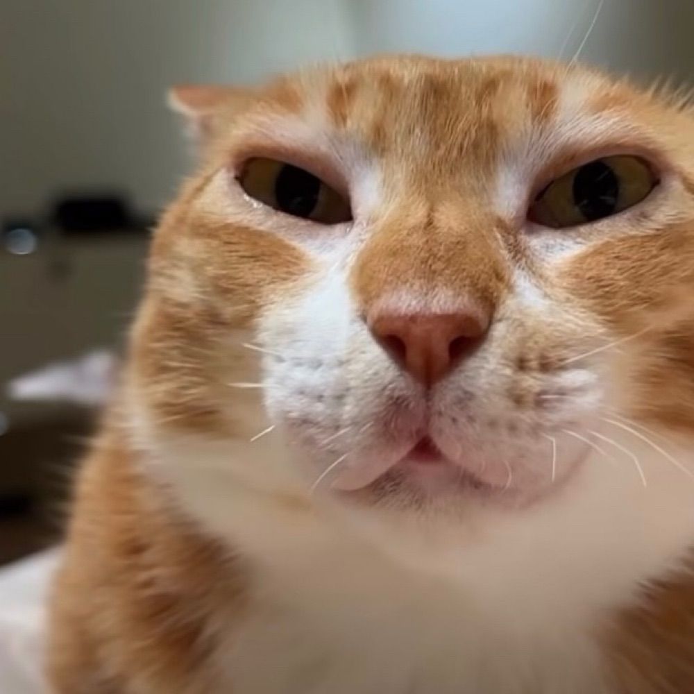Max (maxpoopydumdum)