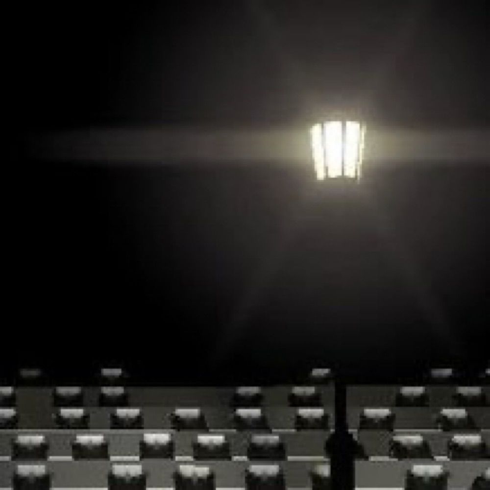 the beginners guide quote bot