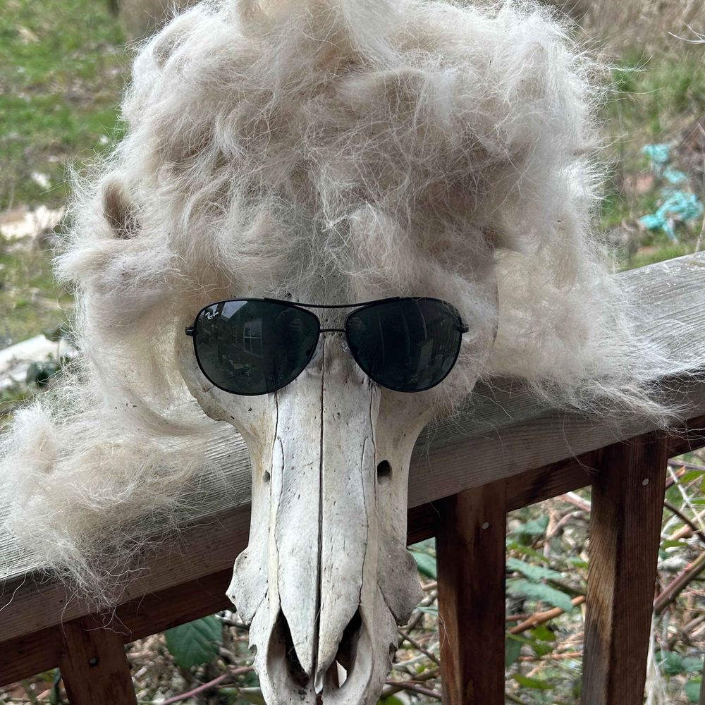 Brother Garth's Big Top Necronomauqua