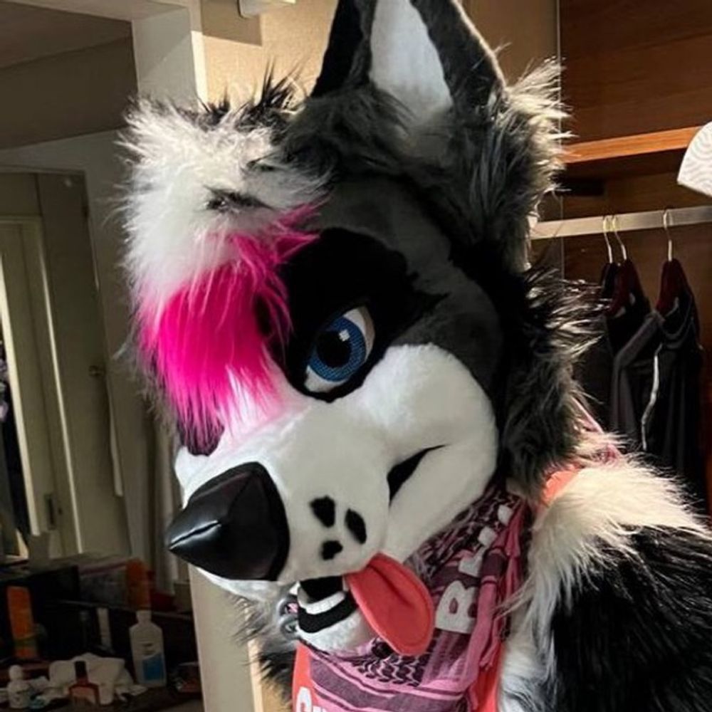 Rhux Collie