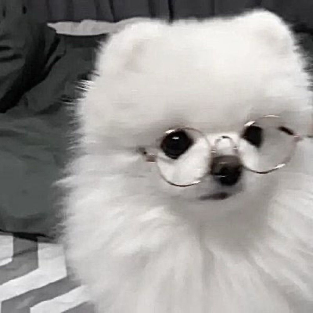 시안