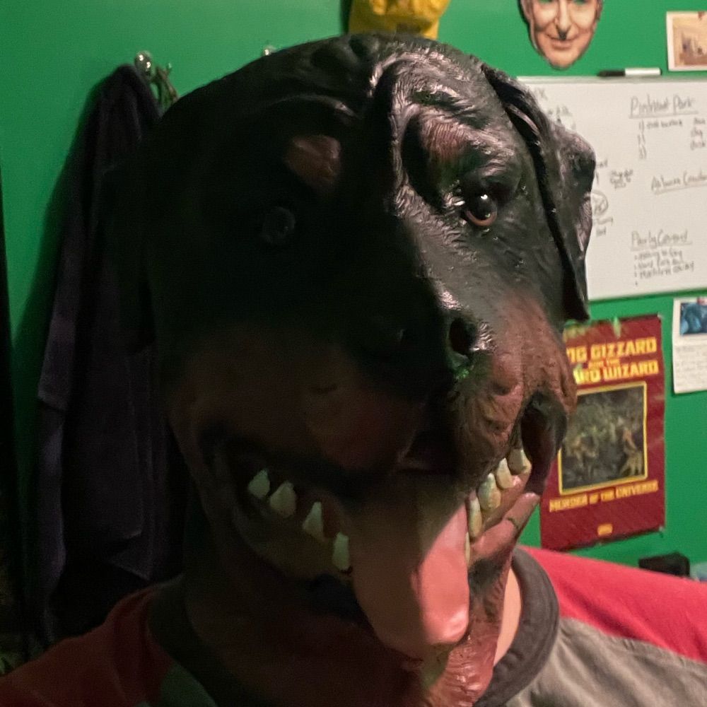 Entirely Too Many Dogs