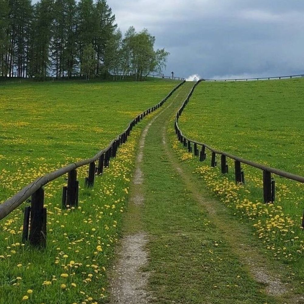 🌱