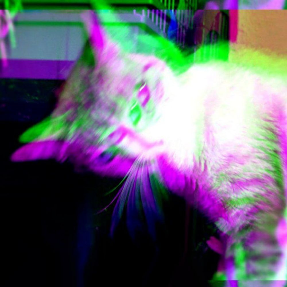 『 d 3 n z i a 』