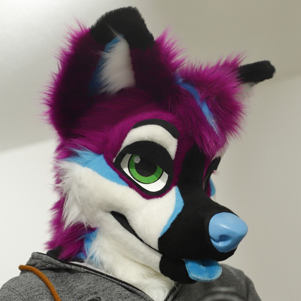 Purple Dog