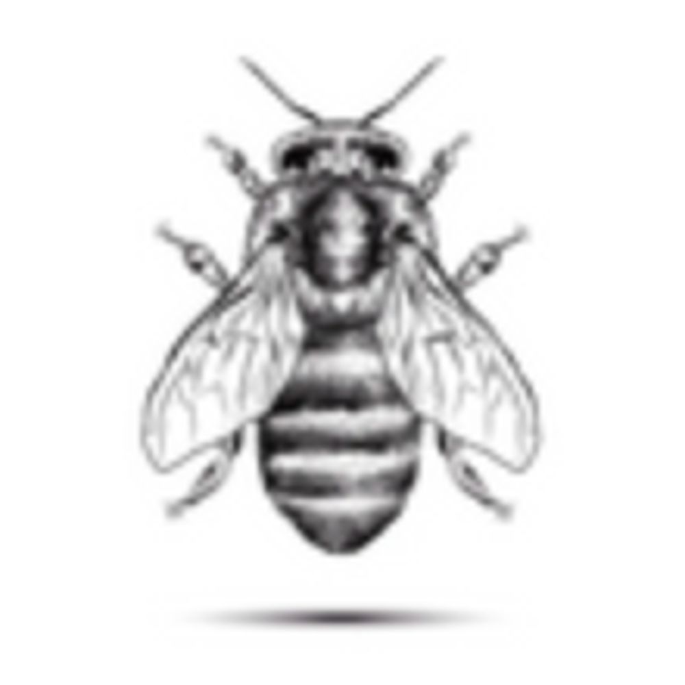 KWBHoneybees