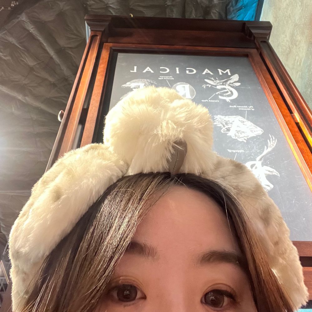 就那個你們都認識的仙女
