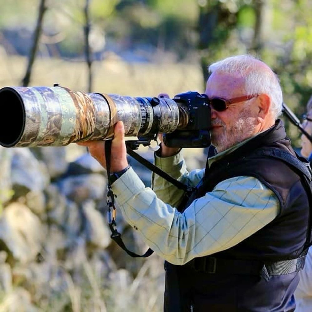 Pep Anguera     Wildlife photography