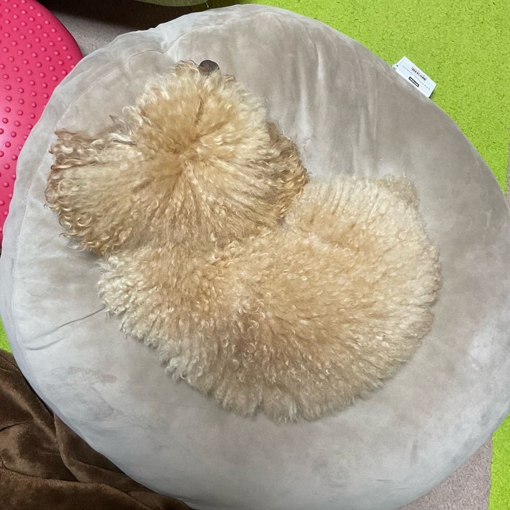 まつまり
