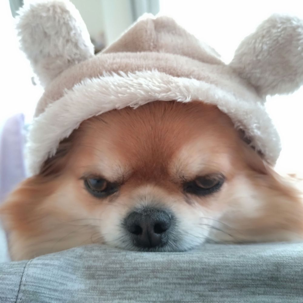 李々彦