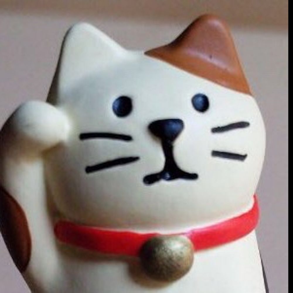 くらやんᓚᘏᗢ 🐾💛子猫