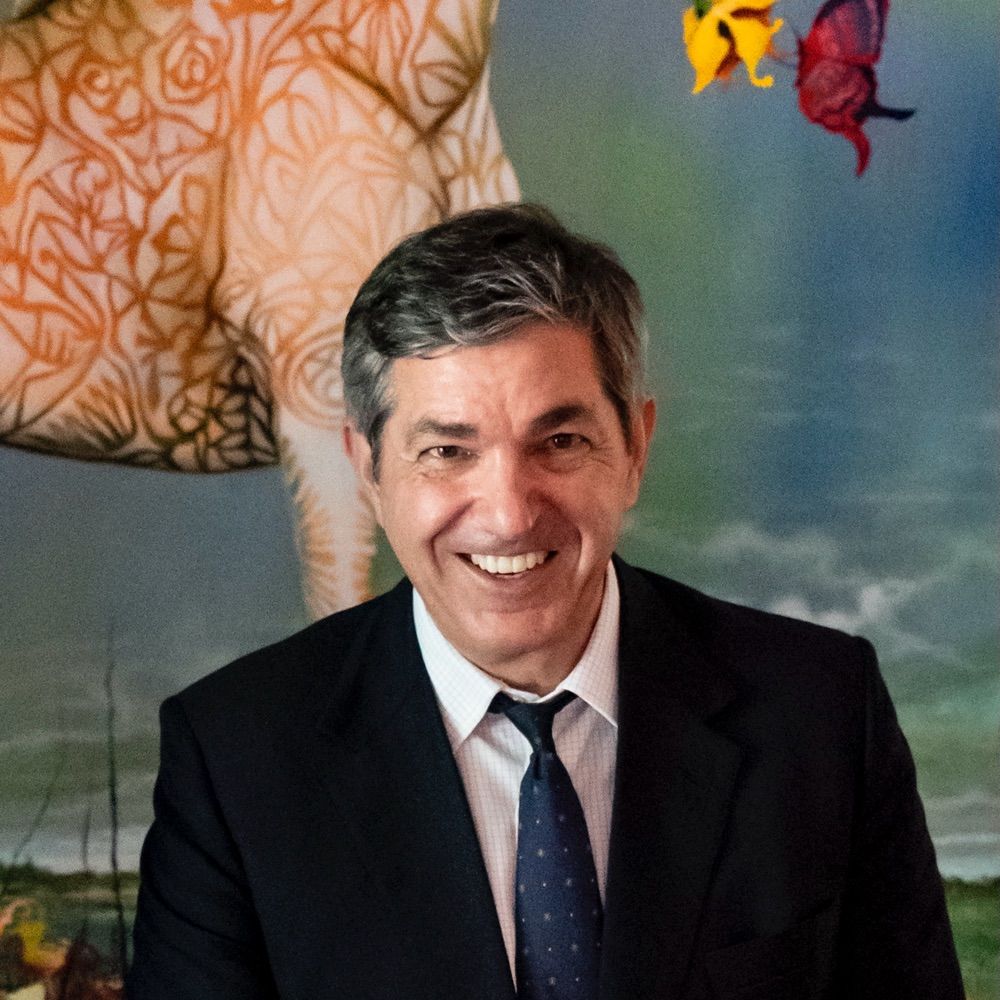 Stavros Lambrinidis