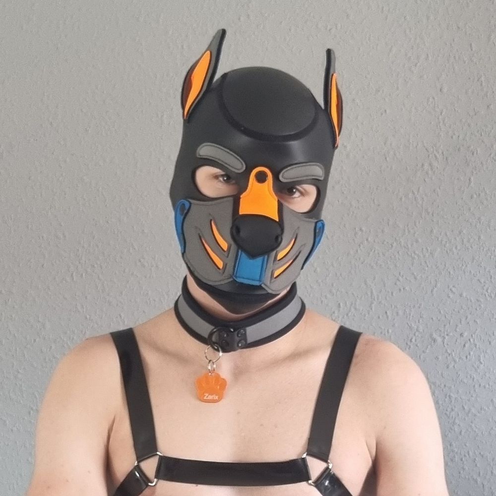 Pup Zarix 🔜Darklands