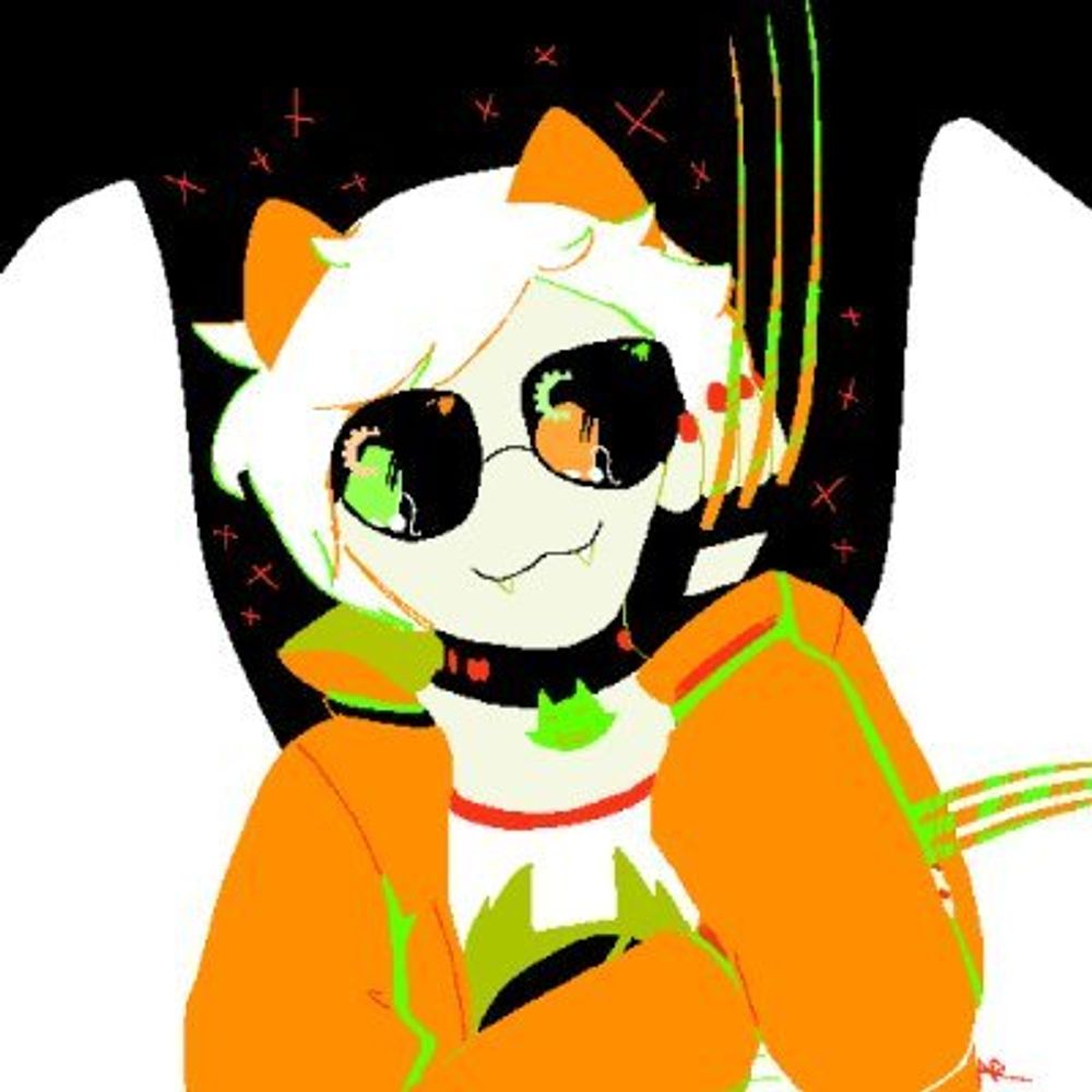 TouringTanuki
