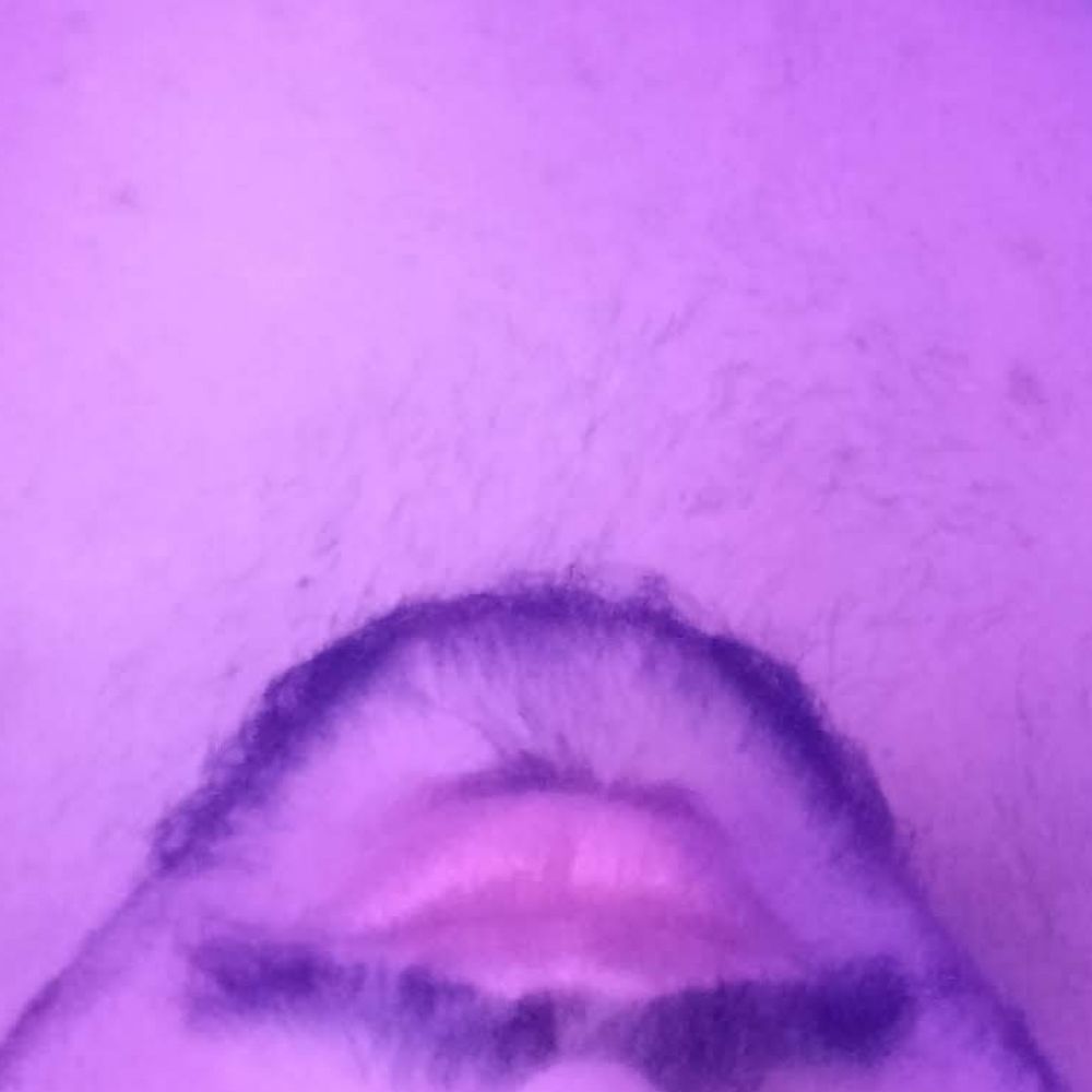 Ursinho Web 🤵🏻‍♂️🧔🏻‍♂️🧖🏻‍♂️
