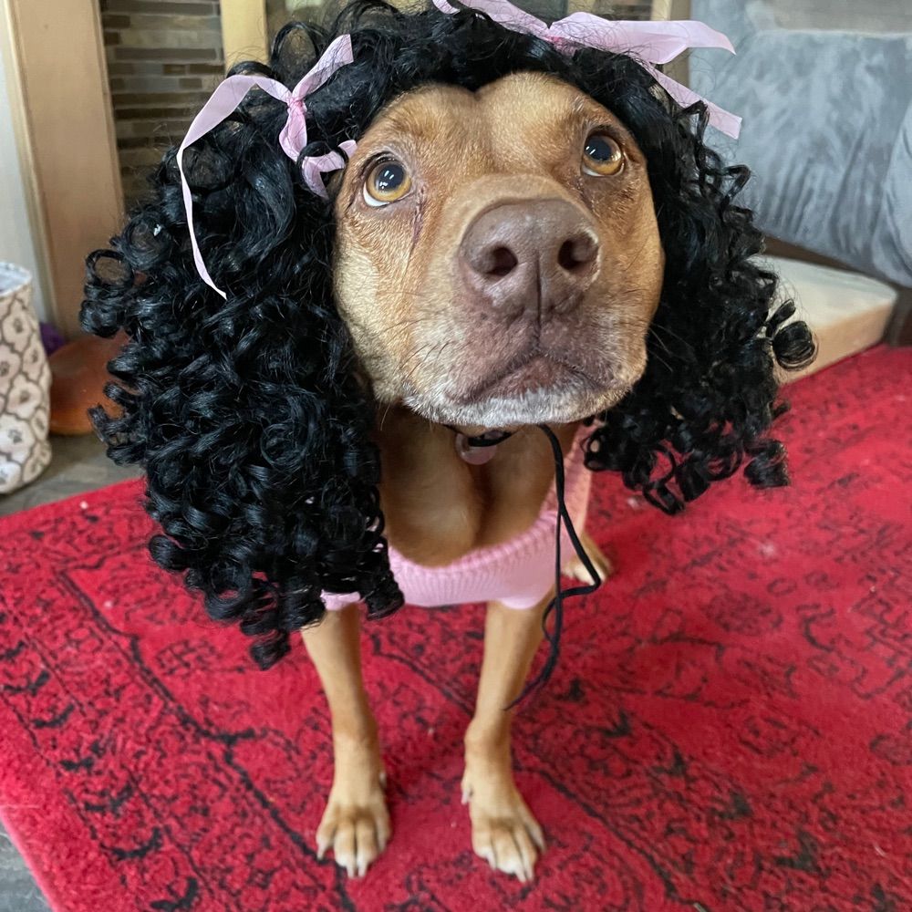 Josie’s Misfit Ranch
