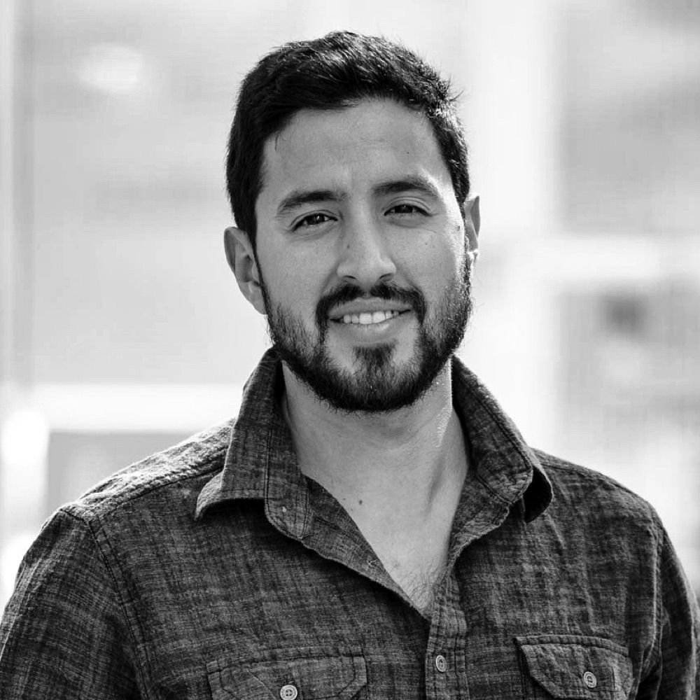Dr. David Vuono