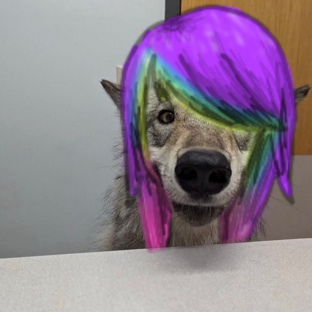 zawmbi