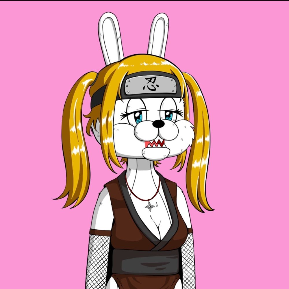 ニンジャ