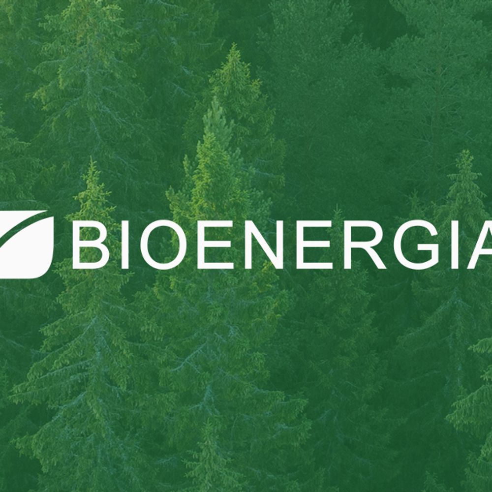 Bioenergia ry