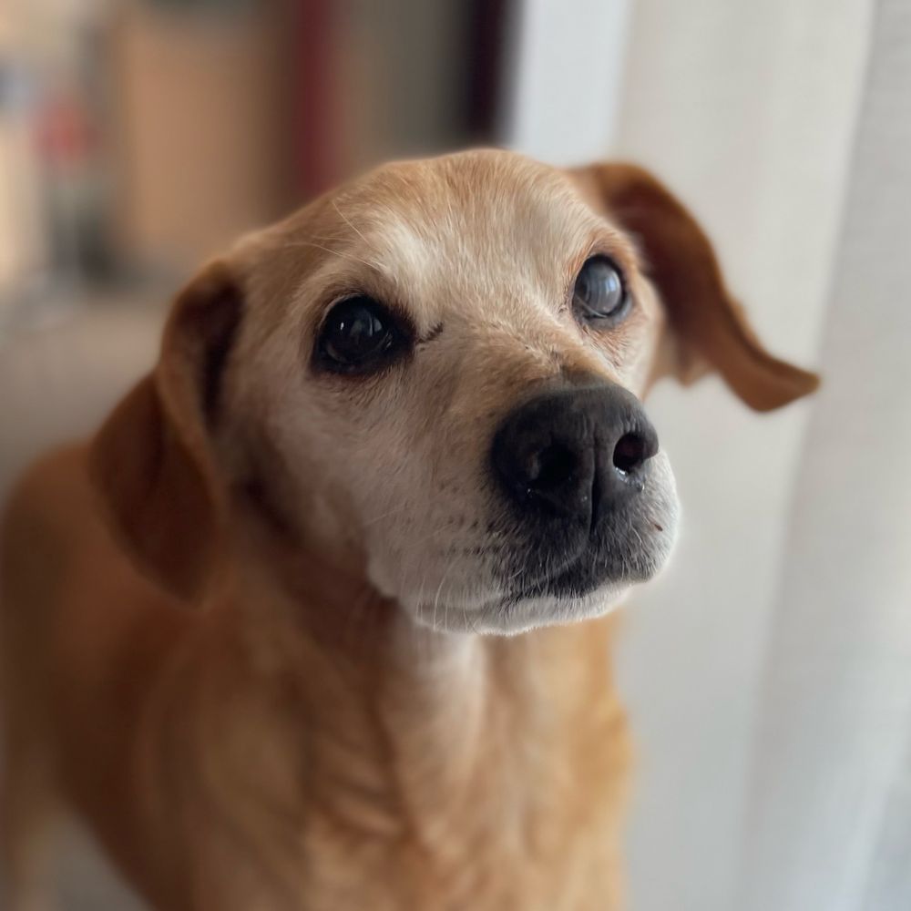 Marco
