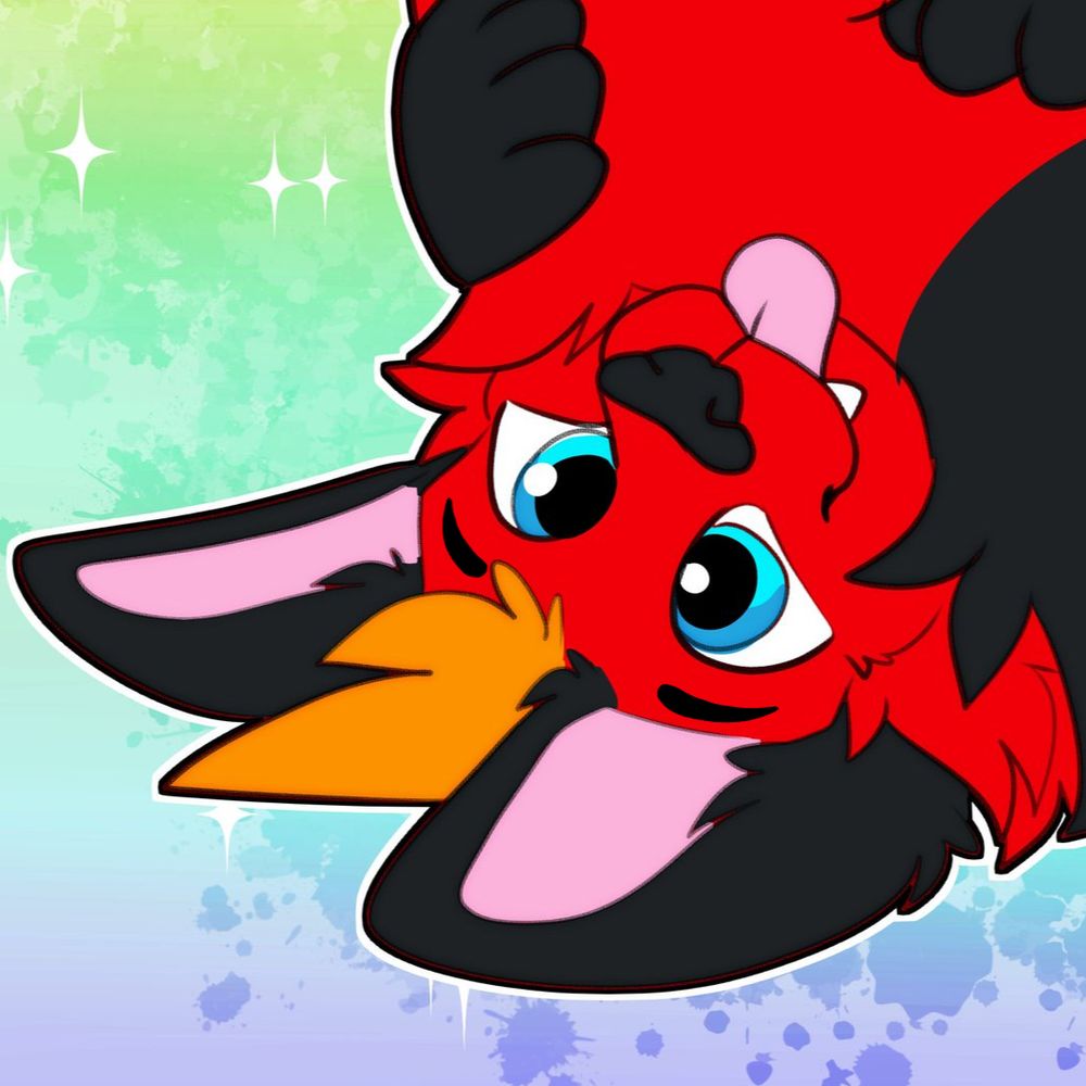Fluffy red ball of tomfoolery 🔜 FD 🔜 MP