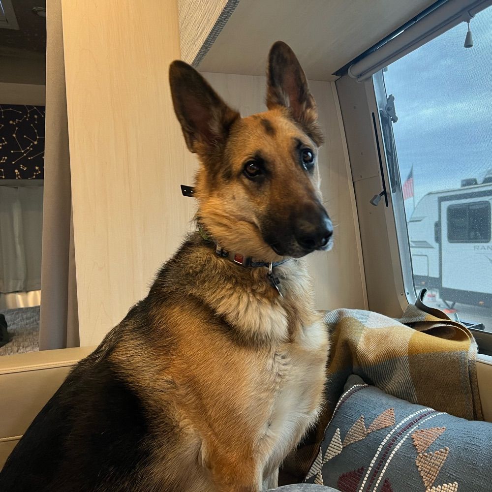 Airstream Traveler