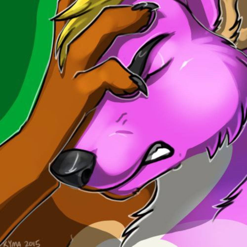 Ty Husky