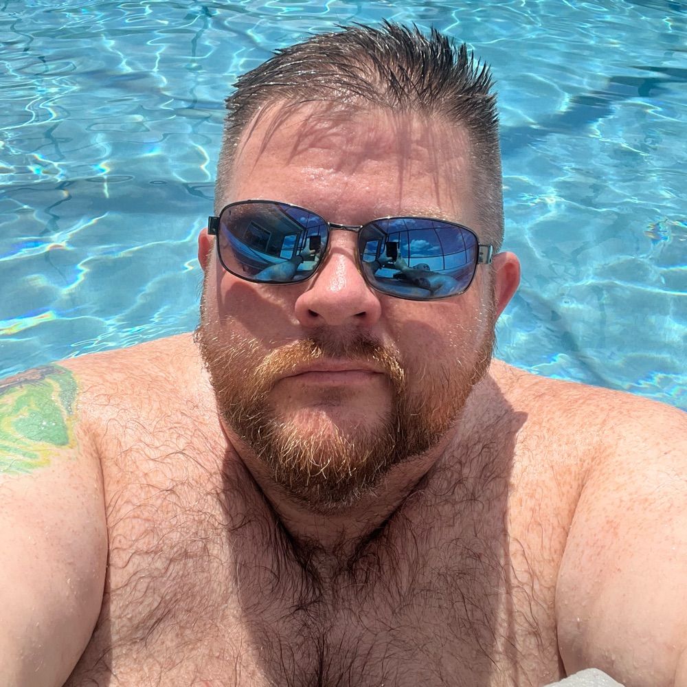 KnoxMovieBear
