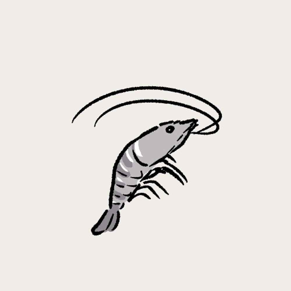 カツオ