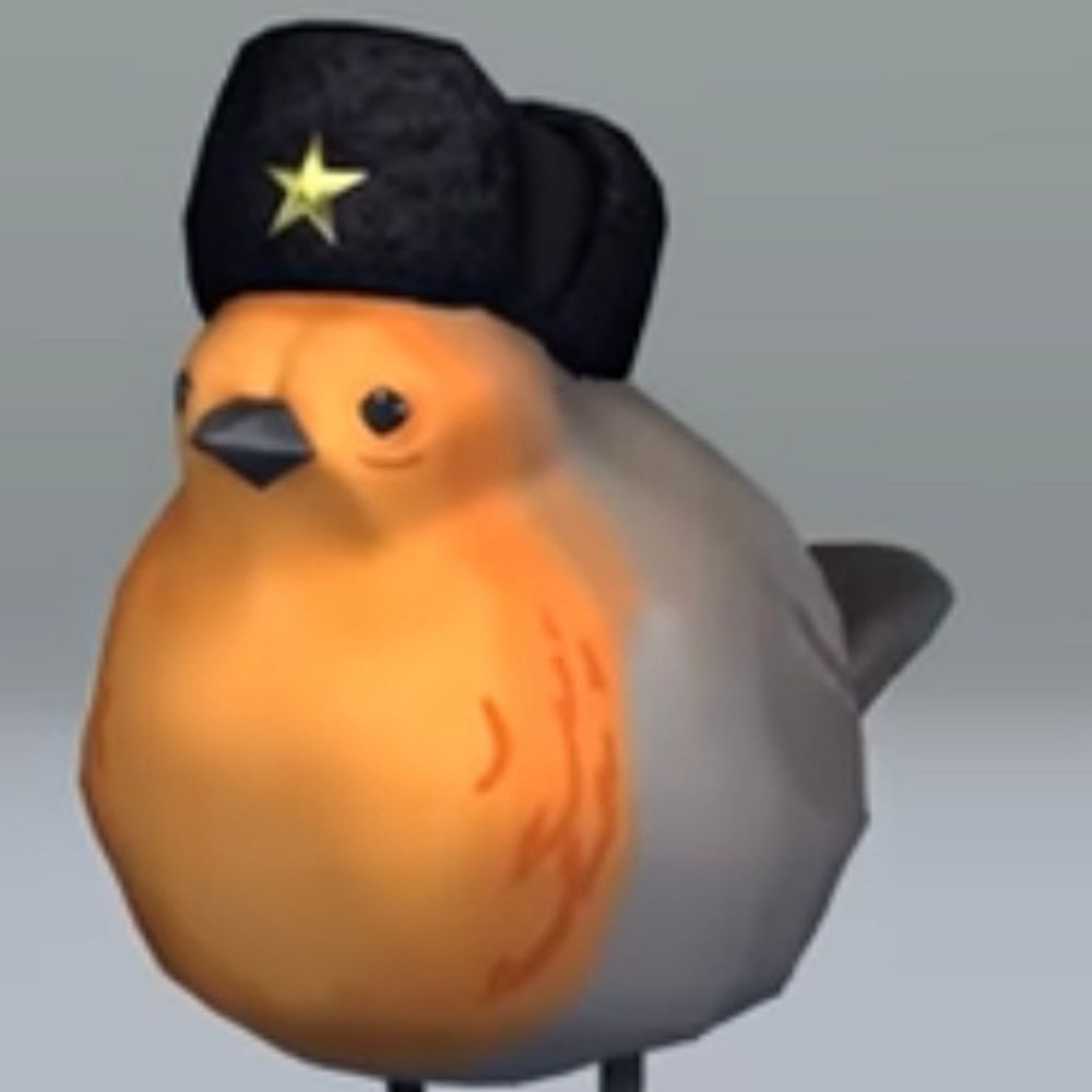 CaptainNelswid