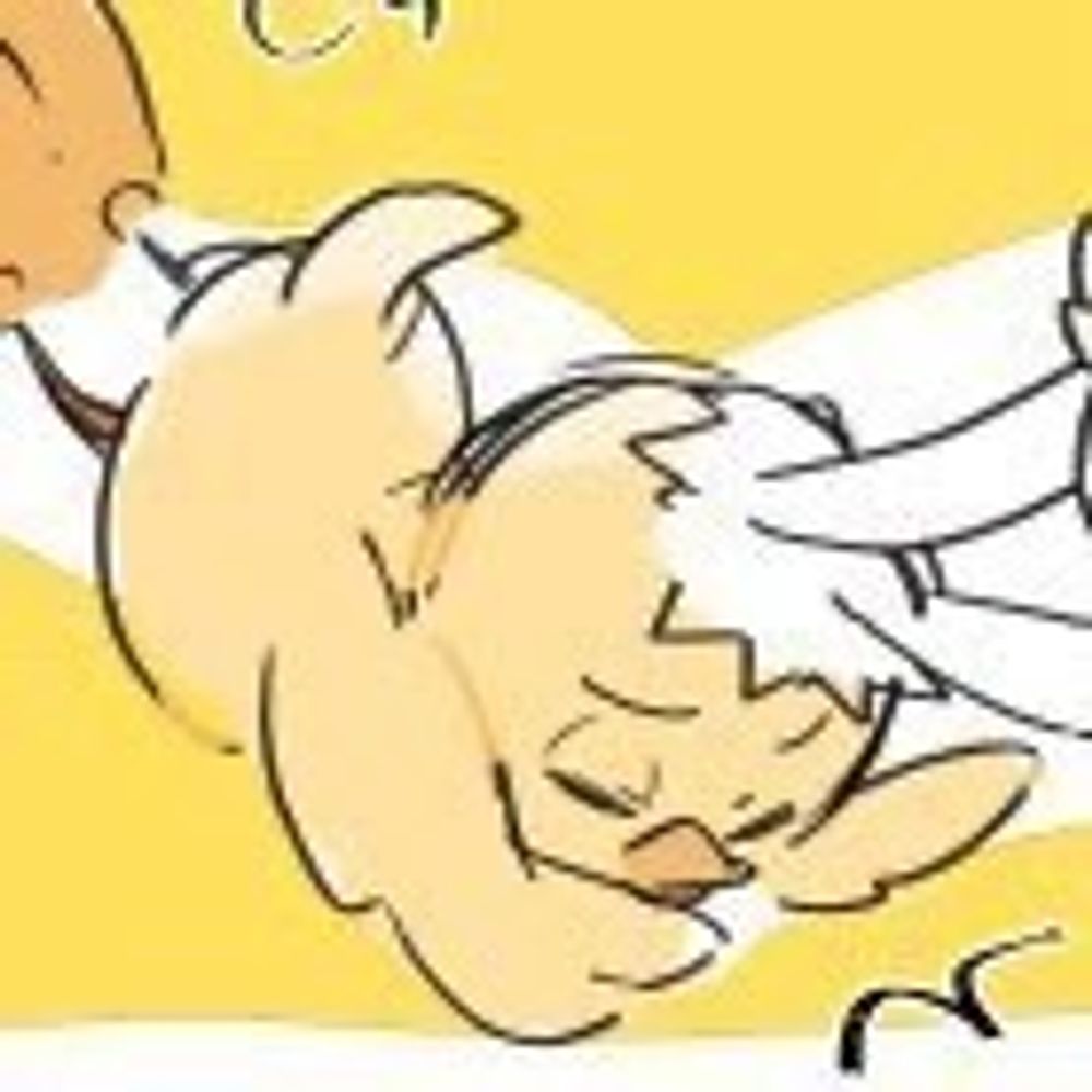 豆しぼり犬🐥