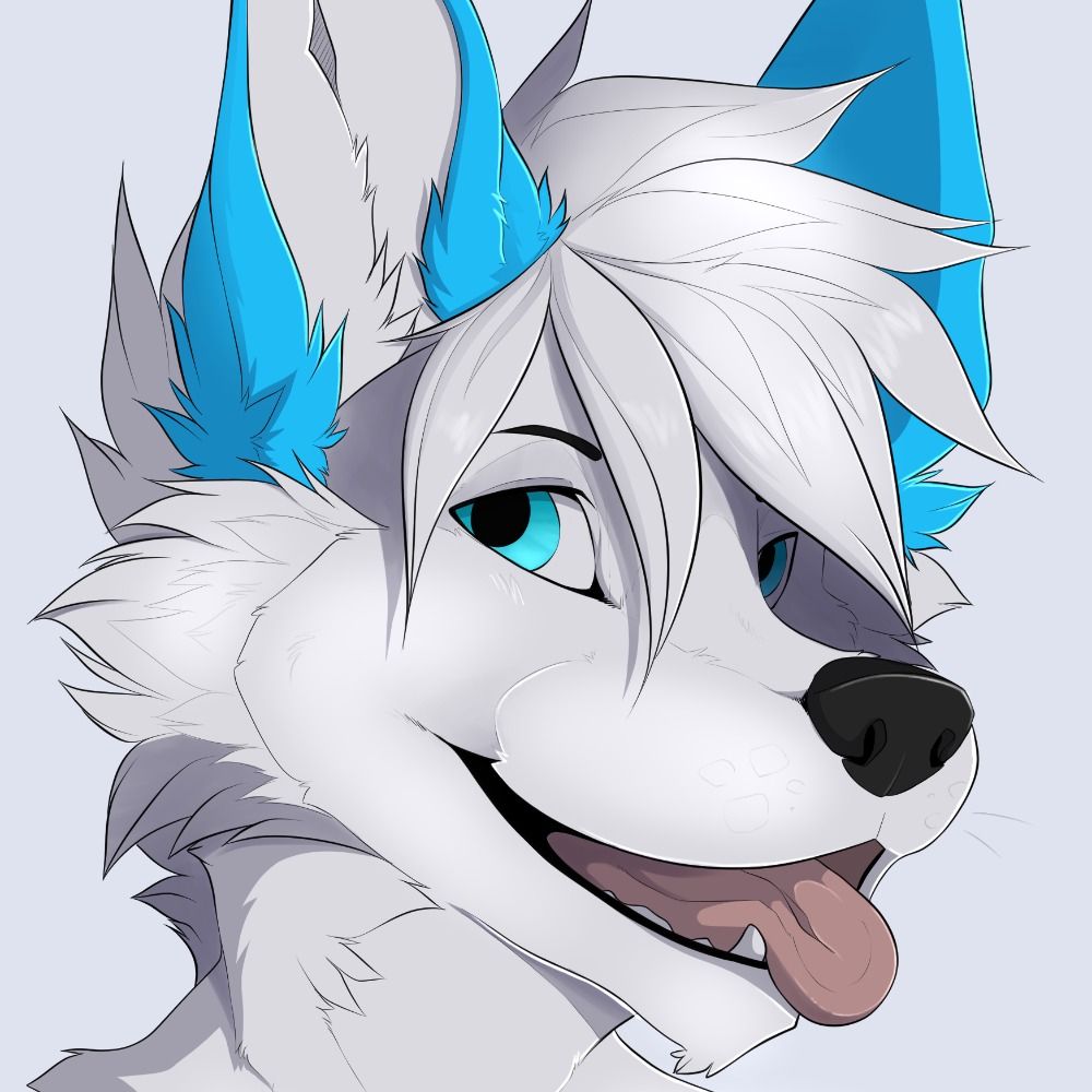 Theo The Arctic Fox