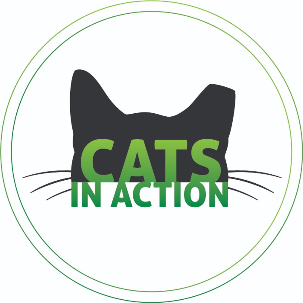 Cats in Action