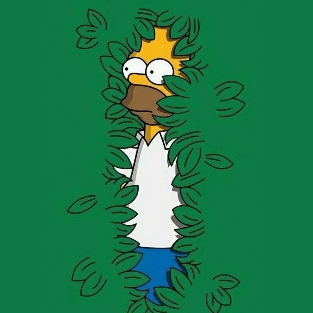 Pollonidas1986