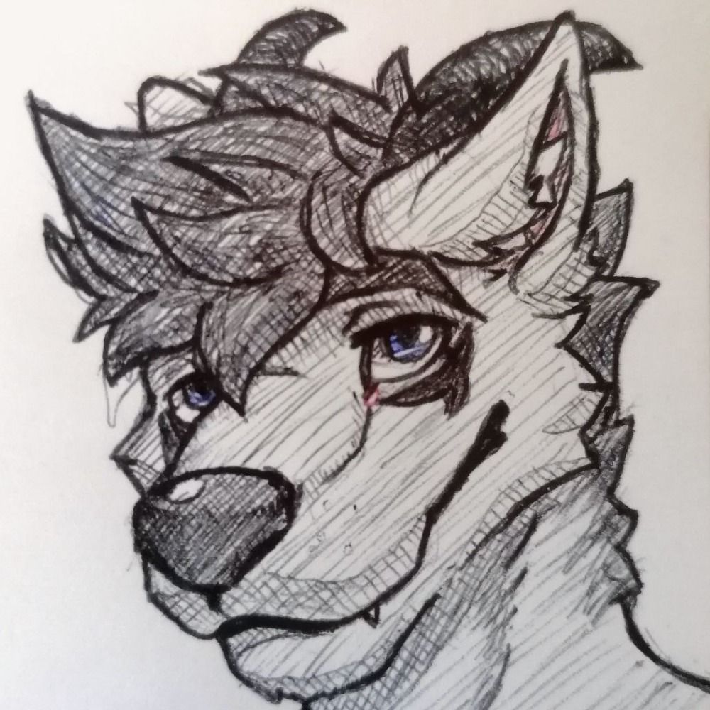 Drawolf