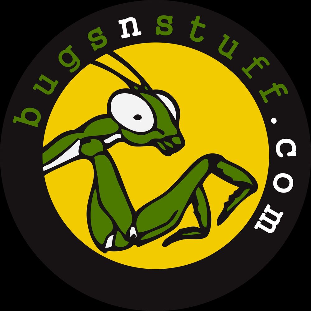 bugsnstuff