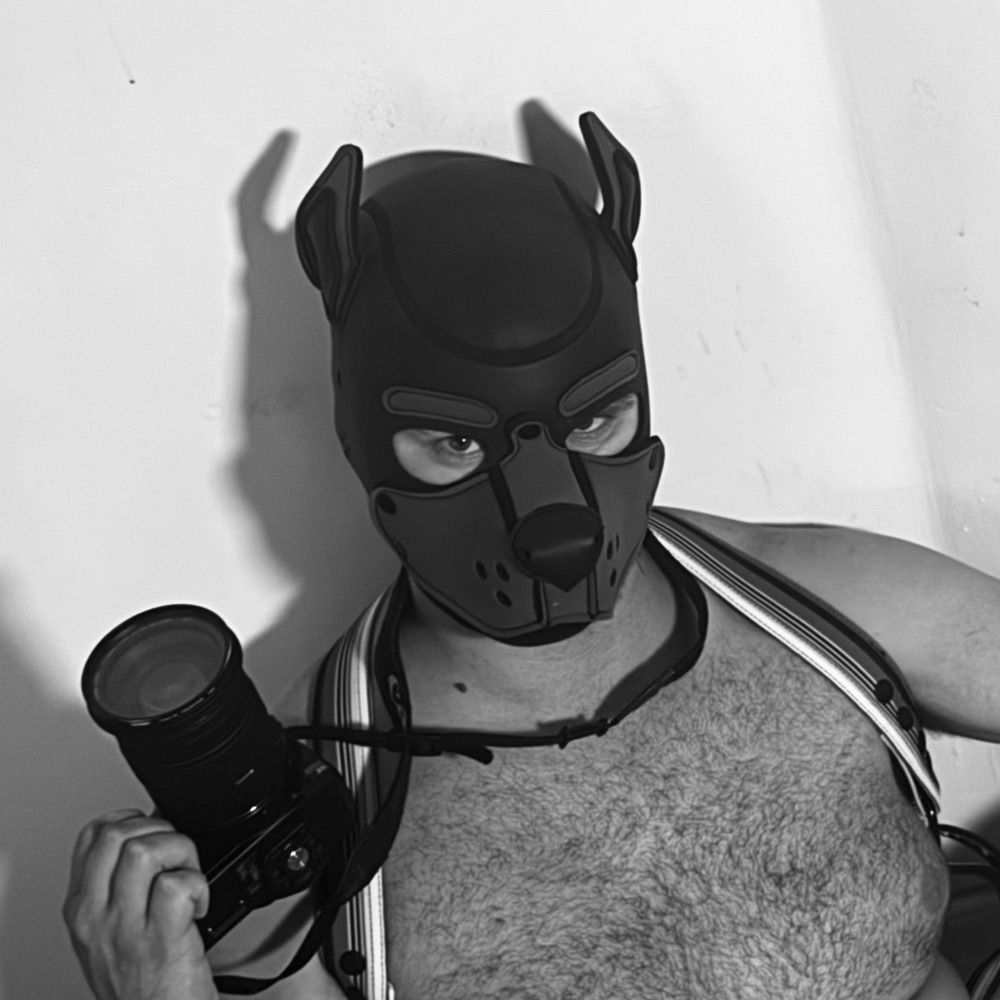 Pup Zulu