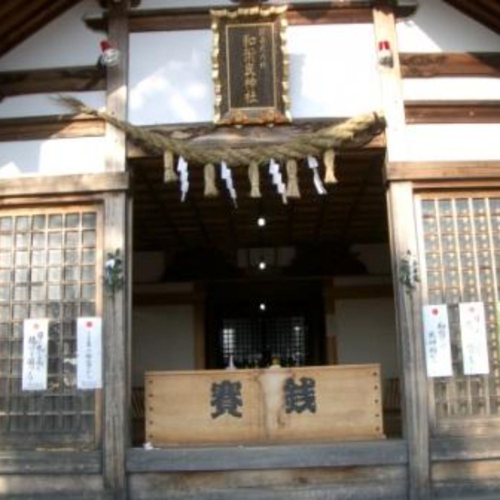 toyo