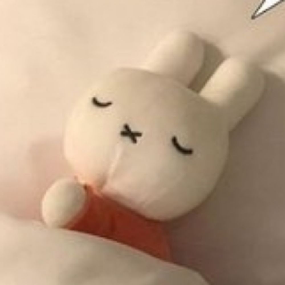 젤리
