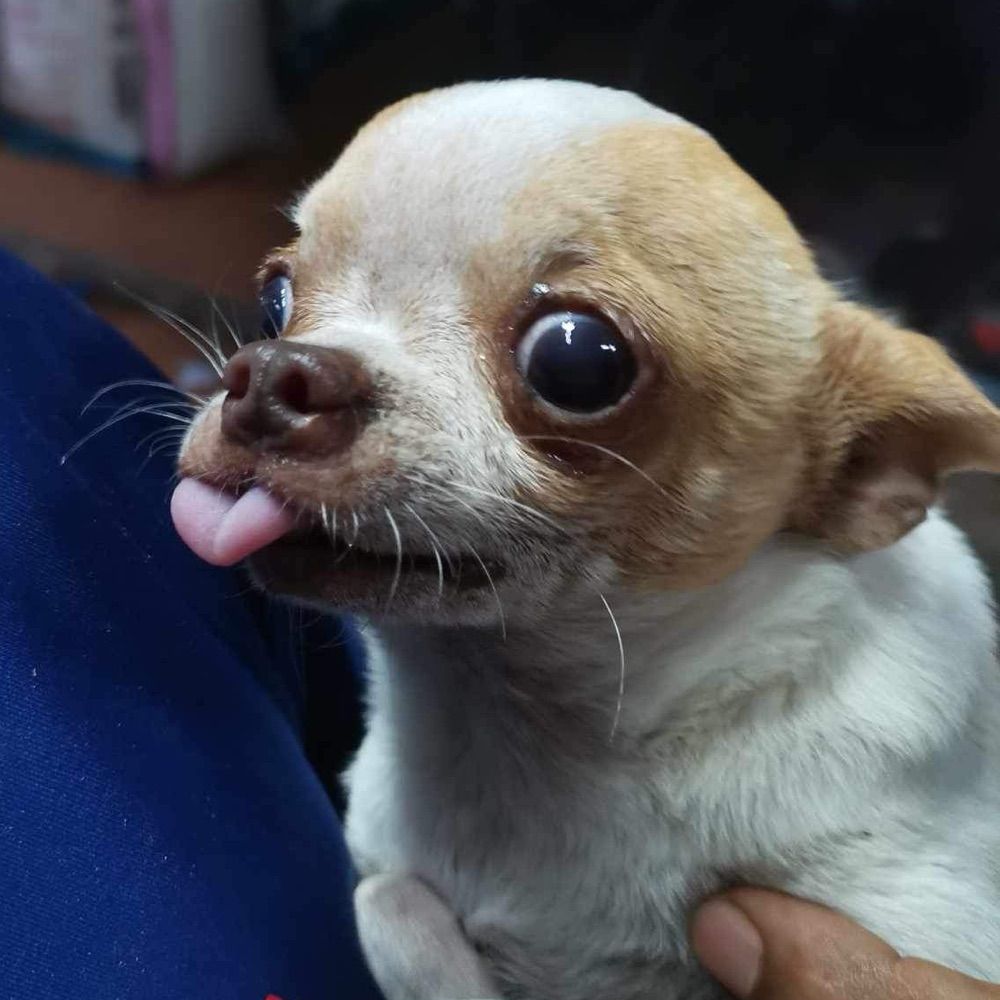 OO.