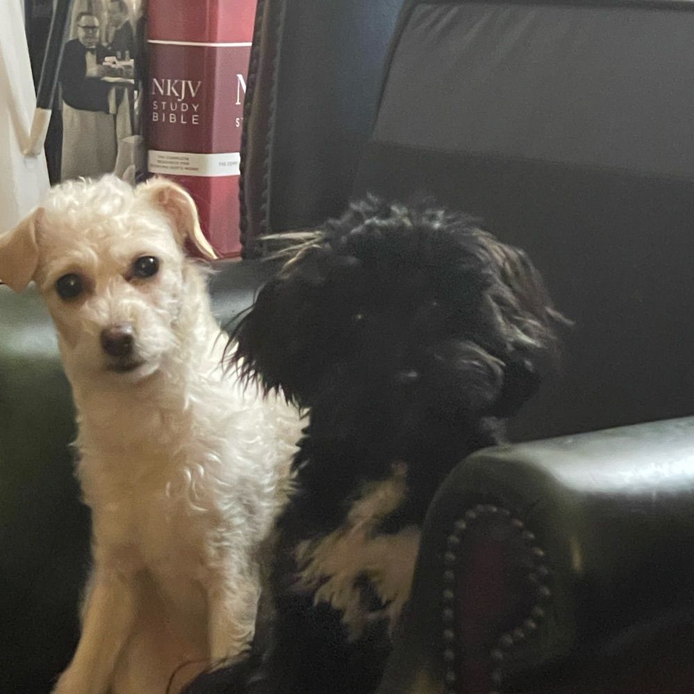 Fen and Fern