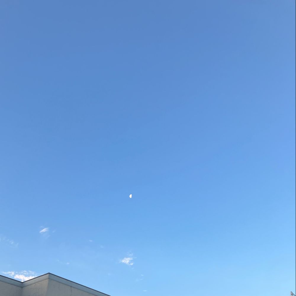 みずなら