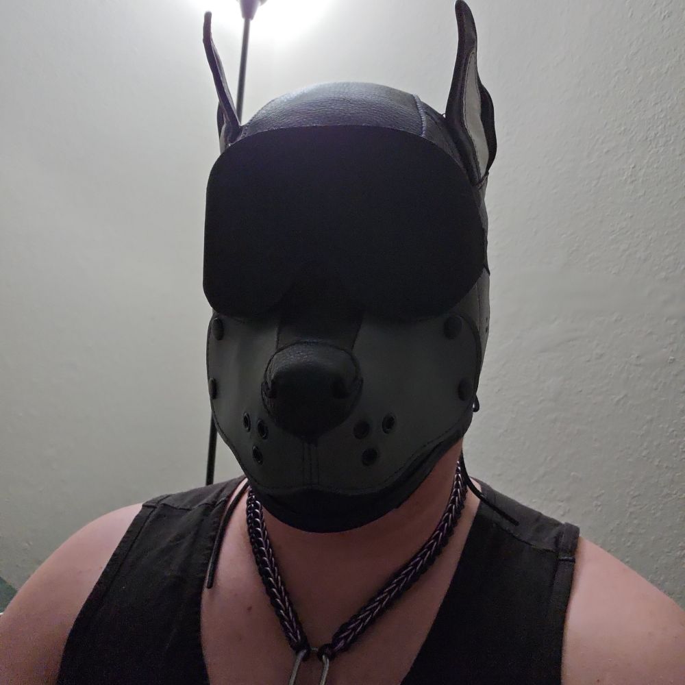 Pup Ferdinand
