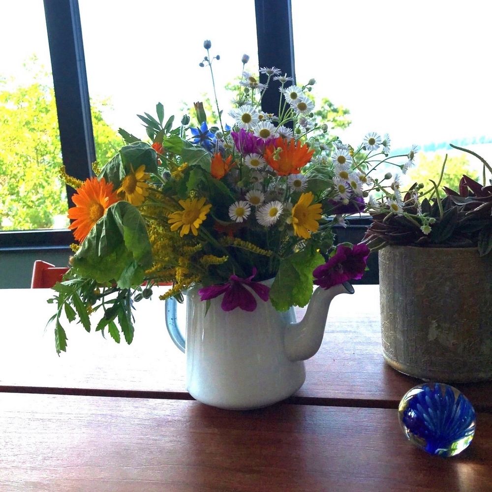 Frau_Schnickschnack 