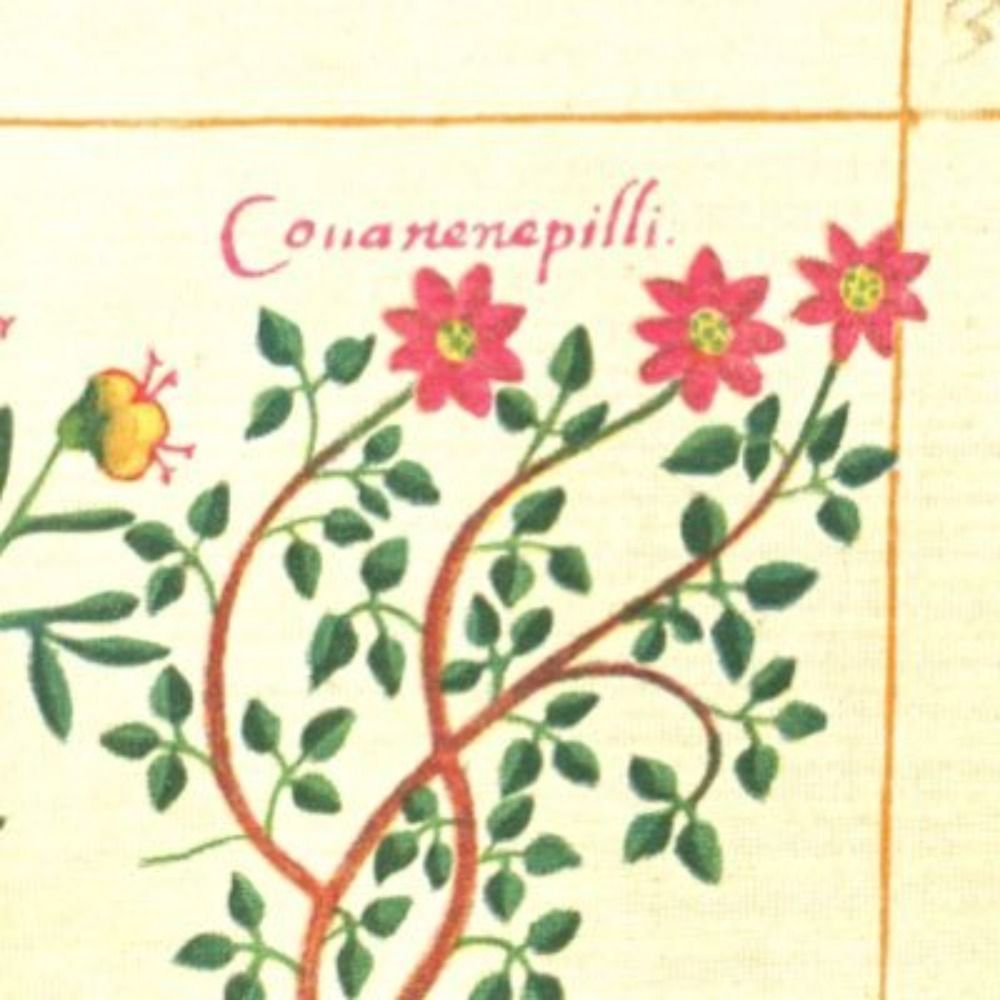 Historical Plant