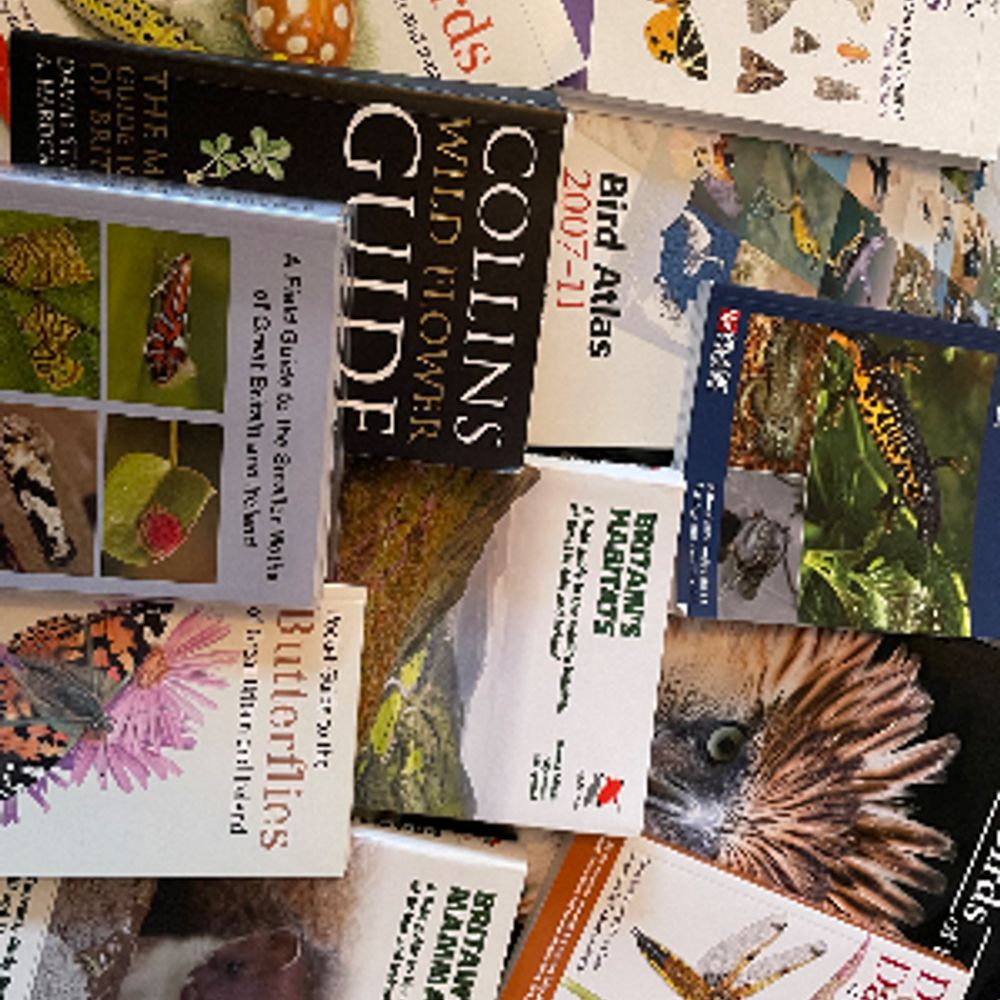 Wildlife ID & info books