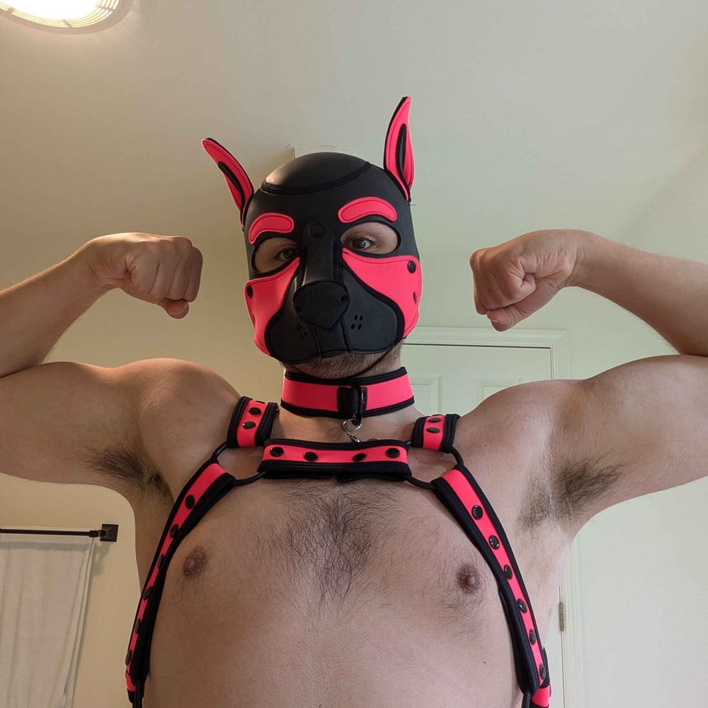 Pup Mythos