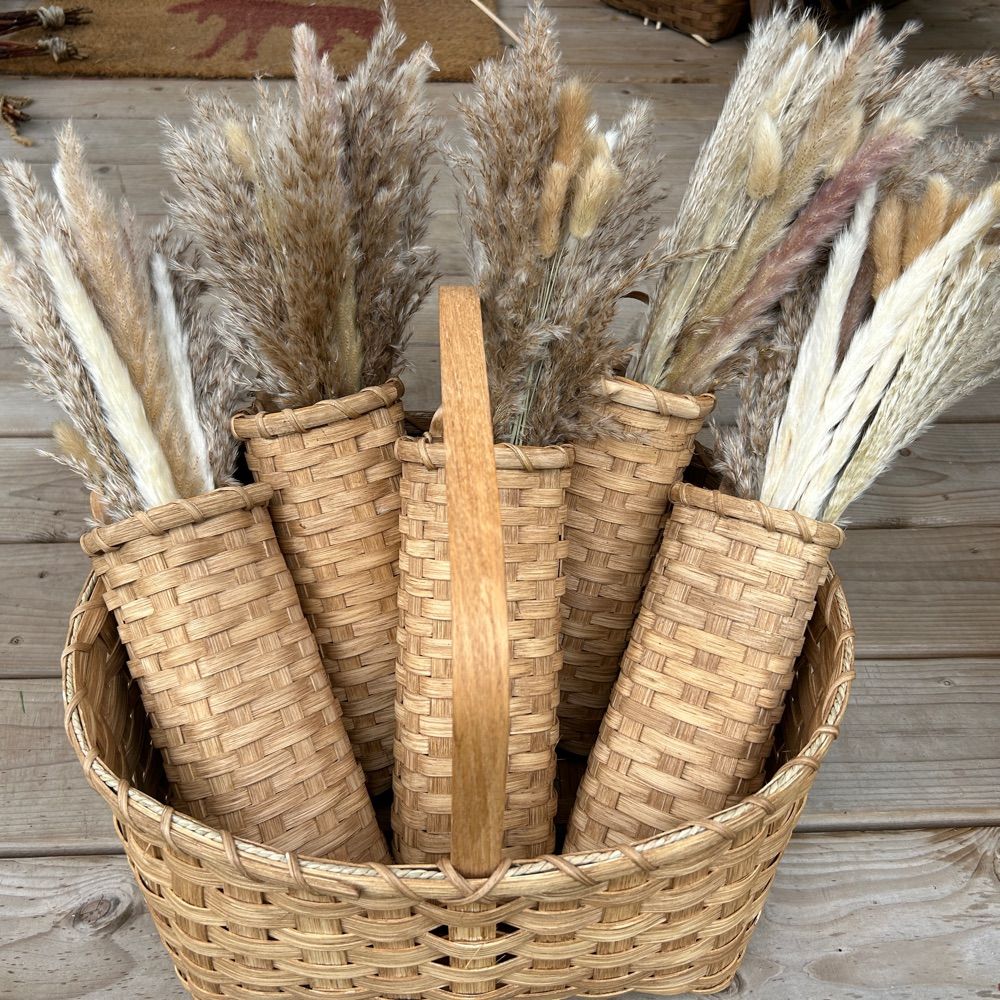 Doris-Ann Savoie 🧺