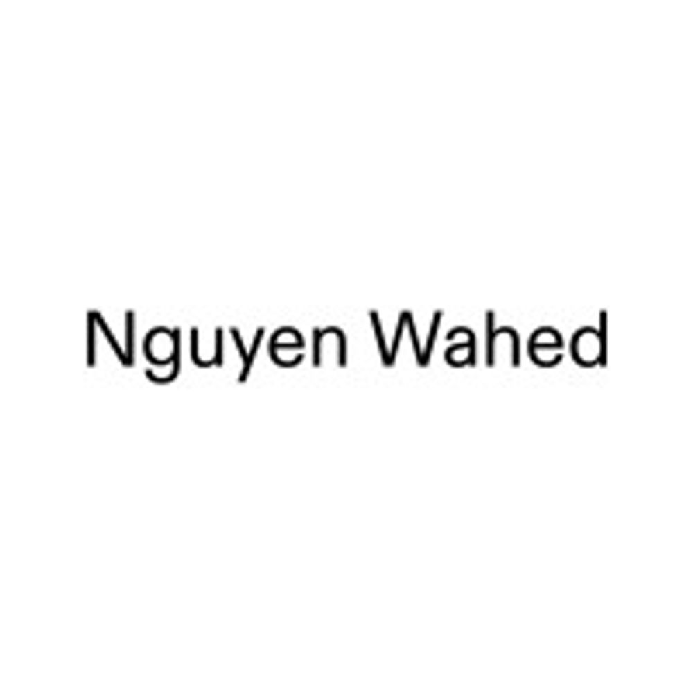 Nguyen Wahed Gallery